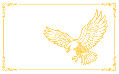 Eagle Metal Card Design 1